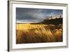 Bamburgh Castle and Marram Grass (Ammophila Arenaria) Lit by Golden Evening Light-Eleanor-Framed Photographic Print