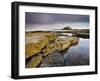 Bamburgh Castle Bathed in Evening Light with Foreground of Barnacle-Encrusted Rocks and Rock Pools-Lee Frost-Framed Photographic Print