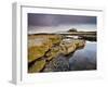 Bamburgh Castle Bathed in Evening Light with Foreground of Barnacle-Encrusted Rocks and Rock Pools-Lee Frost-Framed Photographic Print