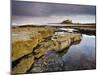 Bamburgh Castle Bathed in Evening Light with Foreground of Barnacle-Encrusted Rocks and Rock Pools-Lee Frost-Mounted Photographic Print