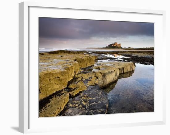 Bamburgh Castle Bathed in Evening Light with Foreground of Barnacle-Encrusted Rocks and Rock Pools-Lee Frost-Framed Photographic Print