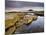 Bamburgh Castle Bathed in Evening Light with Foreground of Barnacle-Encrusted Rocks and Rock Pools-Lee Frost-Mounted Photographic Print