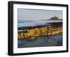 Bamburgh Castle, Northumberland, England-Paul Harris-Framed Photographic Print