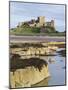 Bamburgh Castle on the Beach-Paul Thompson-Mounted Photographic Print