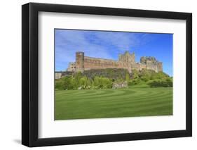 Bamburgh Castle under a Blue Summer Sky, Bamburgh, Northumberland, England, United Kingdom-Eleanor Scriven-Framed Photographic Print