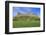 Bamburgh Castle under a Blue Summer Sky, Bamburgh, Northumberland, England, United Kingdom-Eleanor Scriven-Framed Photographic Print