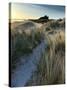 Bamburgh Dunes-Doug Chinnery-Stretched Canvas