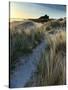 Bamburgh Dunes-Doug Chinnery-Stretched Canvas