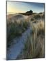 Bamburgh Dunes-Doug Chinnery-Mounted Photographic Print