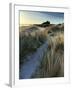 Bamburgh Dunes-Doug Chinnery-Framed Photographic Print