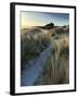 Bamburgh Dunes-Doug Chinnery-Framed Photographic Print