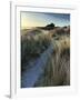 Bamburgh Dunes-Doug Chinnery-Framed Photographic Print