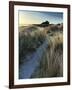 Bamburgh Dunes-Doug Chinnery-Framed Photographic Print