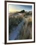 Bamburgh Dunes-Doug Chinnery-Framed Photographic Print