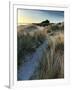 Bamburgh Dunes-Doug Chinnery-Framed Photographic Print