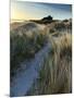 Bamburgh Dunes-Doug Chinnery-Mounted Photographic Print