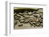 Bambusa Arundinacea (Bamboo) - Seeds-Paul Starosta-Framed Photographic Print