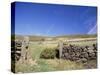 Bamford Edge, Peak District, Derbyshire, England, United Kingdom-Chris Nicholson-Stretched Canvas