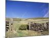 Bamford Edge, Peak District, Derbyshire, England, United Kingdom-Chris Nicholson-Mounted Photographic Print