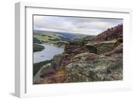 Bamford Edge with Heather Above Ladybower and Ashopton Bridge at Dawn-Eleanor Scriven-Framed Photographic Print