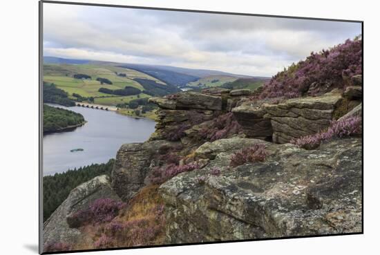 Bamford Edge with Heather Above Ladybower and Ashopton Bridge at Dawn-Eleanor Scriven-Mounted Photographic Print