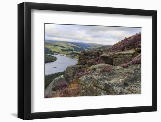 Bamford Edge with Heather Above Ladybower and Ashopton Bridge at Dawn-Eleanor Scriven-Framed Photographic Print