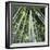 Bamoo Forest in Kyoto-Micha Pawlitzki-Framed Premium Photographic Print