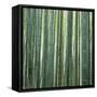 Bamoo Forest in Kyoto-Micha Pawlitzki-Framed Stretched Canvas