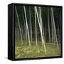 Bamoo Forest in Kyoto-Micha Pawlitzki-Framed Stretched Canvas