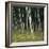 Bamoo Forest in Kyoto-Micha Pawlitzki-Framed Photographic Print