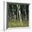 Bamoo Forest in Kyoto-Micha Pawlitzki-Framed Photographic Print