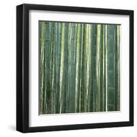 Bamoo Forest in Kyoto-Micha Pawlitzki-Framed Premium Photographic Print