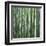 Bamoo Forest in Kyoto-Micha Pawlitzki-Framed Premium Photographic Print