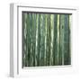 Bamoo Forest in Kyoto-Micha Pawlitzki-Framed Premium Photographic Print
