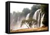 Ban Gioc Waterfall in Vietnam.-topten22photo-Framed Stretched Canvas