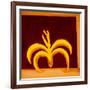 Banana,1998,(oil on linen)-Cristina Rodriguez-Framed Giclee Print