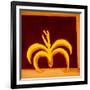 Banana,1998,(oil on linen)-Cristina Rodriguez-Framed Giclee Print