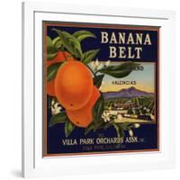 Banana Belt Brand - Villa Park, California - Citrus Crate Label-Lantern Press-Framed Art Print