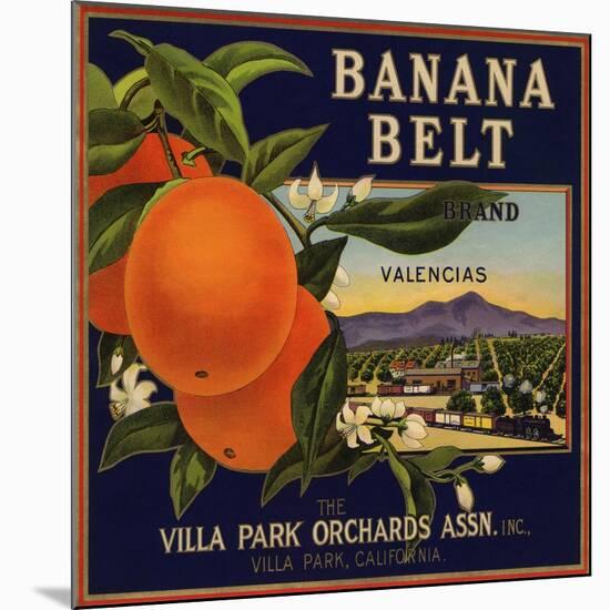 Banana Belt Brand - Villa Park, California - Citrus Crate Label-Lantern Press-Mounted Art Print