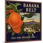 Banana Belt Brand - Villa Park, California - Citrus Crate Label-Lantern Press-Mounted Art Print