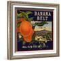 Banana Belt Brand - Villa Park, California - Citrus Crate Label-Lantern Press-Framed Art Print