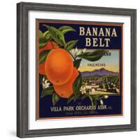 Banana Belt Brand - Villa Park, California - Citrus Crate Label-Lantern Press-Framed Art Print