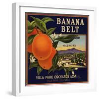 Banana Belt Brand - Villa Park, California - Citrus Crate Label-Lantern Press-Framed Art Print