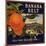 Banana Belt Brand - Villa Park, California - Citrus Crate Label-Lantern Press-Mounted Art Print