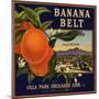 Banana Belt Brand - Villa Park, California - Citrus Crate Label-Lantern Press-Mounted Art Print