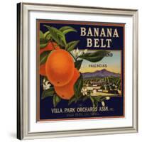 Banana Belt Brand - Villa Park, California - Citrus Crate Label-Lantern Press-Framed Art Print