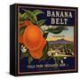 Banana Belt Brand - Villa Park, California - Citrus Crate Label-Lantern Press-Framed Stretched Canvas