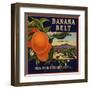 Banana Belt Brand - Villa Park, California - Citrus Crate Label-Lantern Press-Framed Art Print