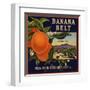 Banana Belt Brand - Villa Park, California - Citrus Crate Label-Lantern Press-Framed Art Print