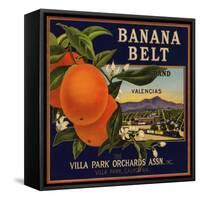 Banana Belt Brand - Villa Park, California - Citrus Crate Label-Lantern Press-Framed Stretched Canvas